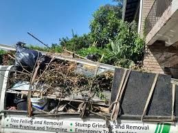 Shed Removal in Springville, UT